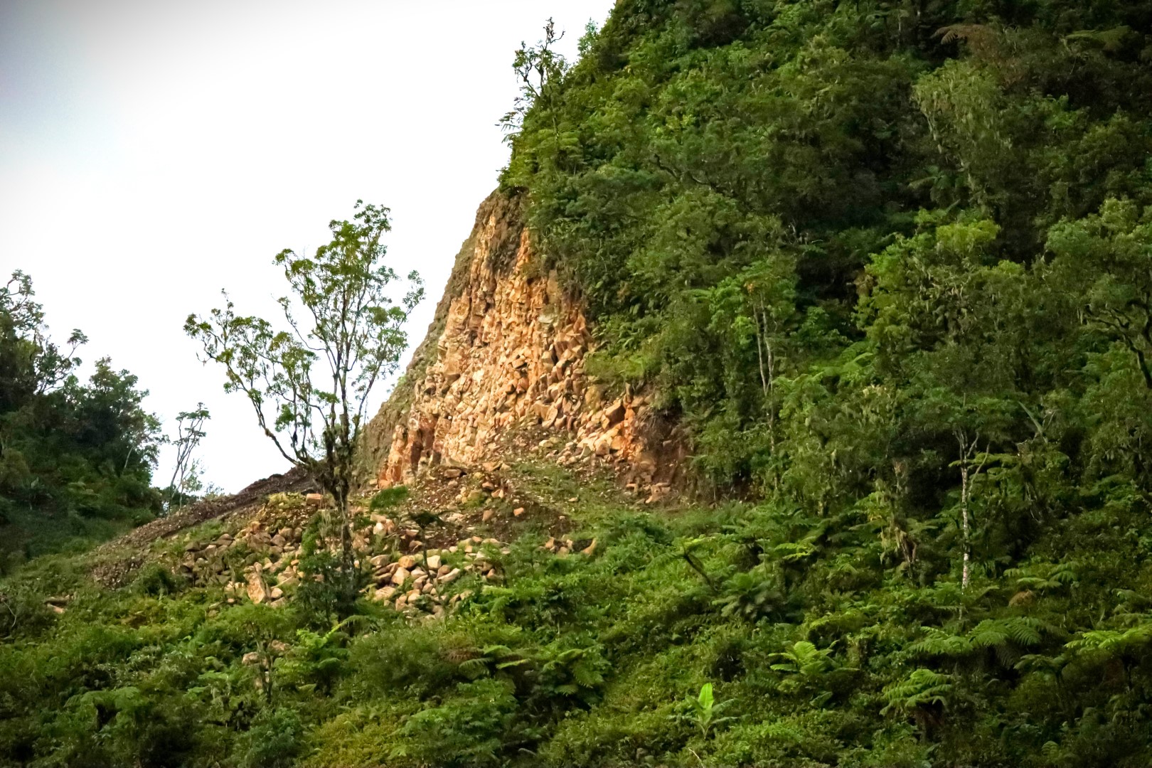 IMG_8152-Grande.jpg (539 KB)